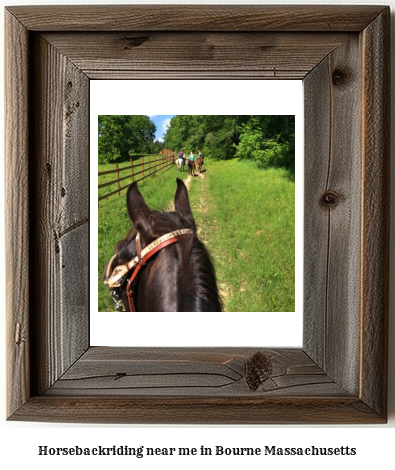 horseback riding near me in Bourne, Massachusetts